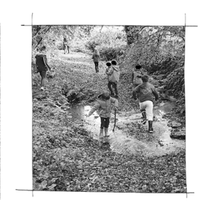 Atelier photo nature en classe de primaire