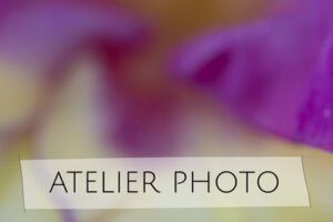 atelier photo johanne gicquel