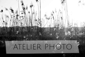 atelier photo johanne gicquel