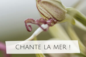 chante la mer