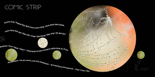 bulles de vie - une image de ces petits riens