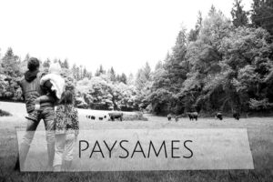 paysames johanne gicquel portfolio