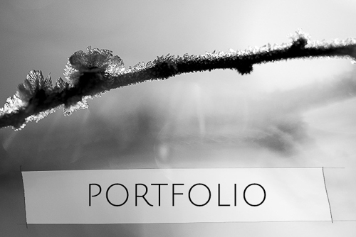 portfolio johanne gicquel