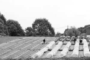 agriculture photo Johanne Gicquel