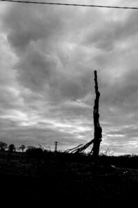 johannegicquel paysages agricoles photographie