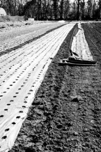 johannegicquel paysages agricoles photographie