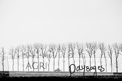 paysages agricoles (bretons) johanne gicquel