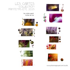 Cartes : lot Bulles de Vie