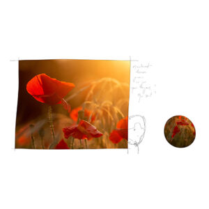 carte postale avec coquelicots Edition Joooa Maintenant jamais