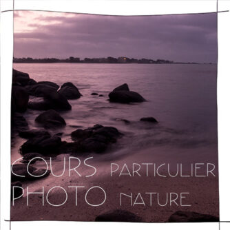 cours particulier photo nature Johanne Gicquel sur Concarneau