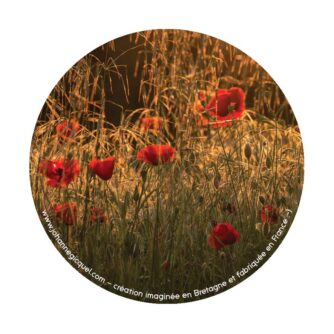 magnet coquelicots johanne Gicquel