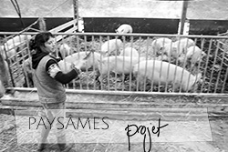 paysames projet