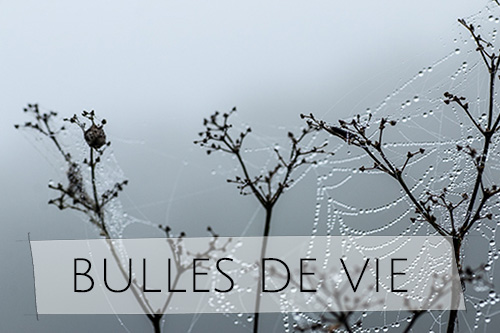 bulles de vie demarche et location d'exposition