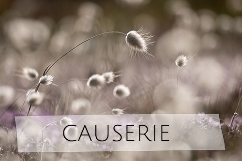 causerie autour de la photographie de nature par johanne gicquel