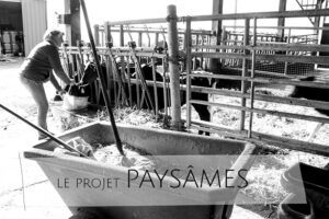 paysames projet