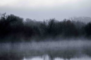 photo de Johanne Gicquel, artiste bretonne