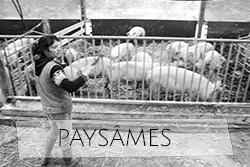 paysâmes - le livre