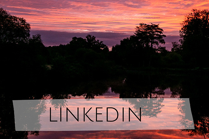 Lien vers linkedin de Johanne Gicquel