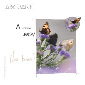 ABCdaire - un des livres en cours de rédaction