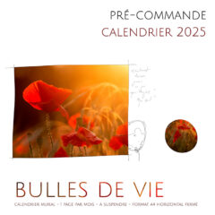 Calendrier 2025 Bulles de Vie par Jooa