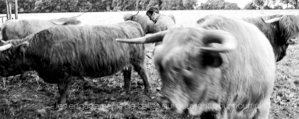 Paysâmes : le monde agricole raconté en images et en mots par une femme, ex-paysanne. Comme un parfum de vrai, de terrien.