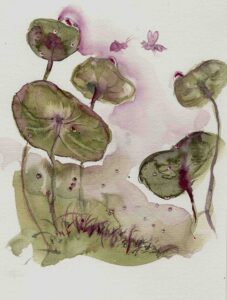 Johanne gicquel illustration nature conte philosophique