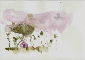 Johanne gicquel illustration nature conte philosophique