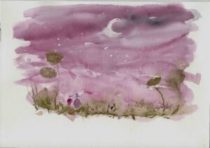 Johanne gicquel illustration nature conte philosophique