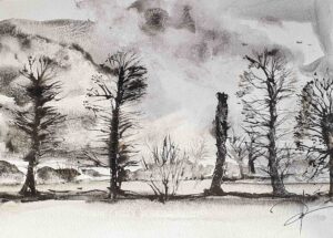 la bretagne vue par Johanne Gicquel. Des noirs et blancs à l'aquarelle