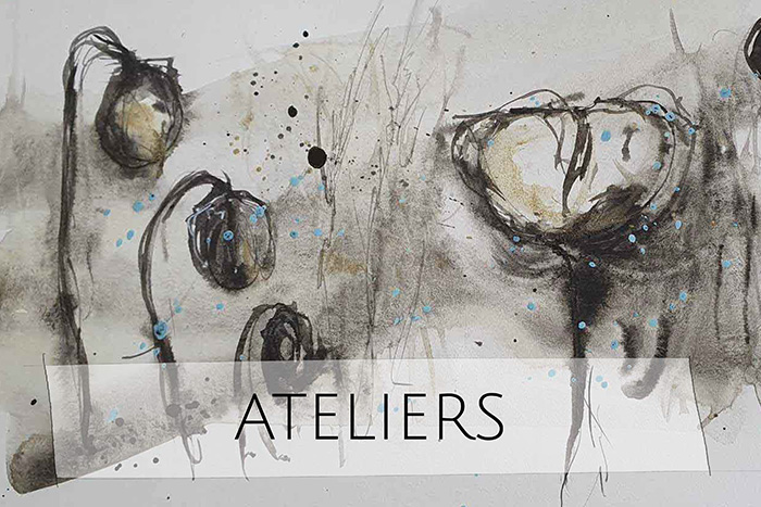 prestations de JOhanne Gicquel - apprendre la photo, l'aquarelle, racontez-vous