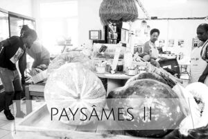 Paysâmes II - raconter les paysannes et agricultrices de France par Johanne Gicquel