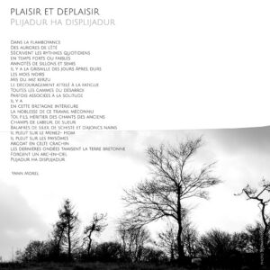 yann morel texte plijadur-texte publié dans Paysômes de Johanne Gicquel