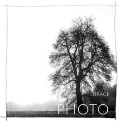 photographie originale. Bretagne, paysages, nature : les clichés de Johanne Gicquel